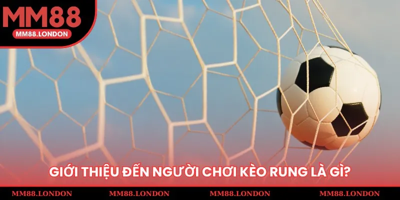 Giới thiệu cụ thể về kèo rung đến với người chơi