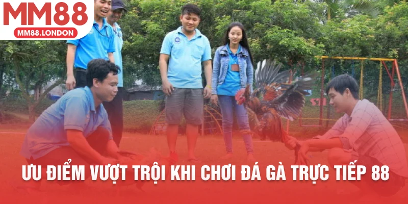 Ưu điểm vượt trội khi chơi đá gà trực tiếp 88